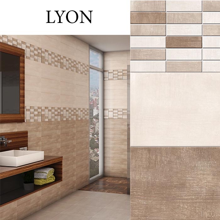IMPORTILES LYON 20x60